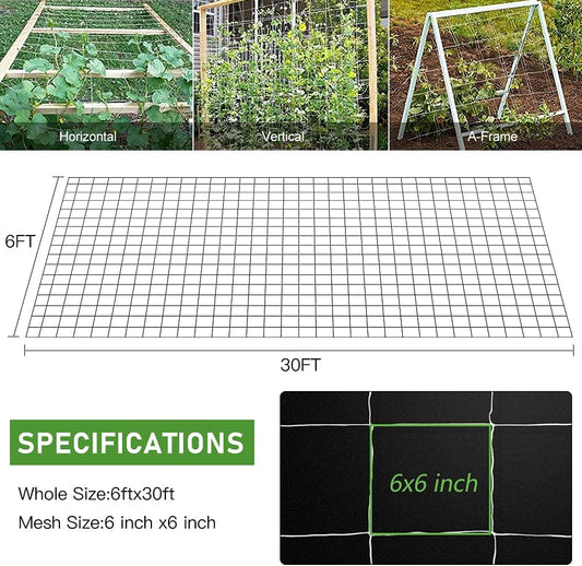 Trellis Netting, Heavy-Duty Garden Plant Trellis Netting for Climbing Plants, Outdoor Indoor Grow Net for Beans Tomatoes Peas Pumpkin Flowers, 6x30ft, 1 Pack