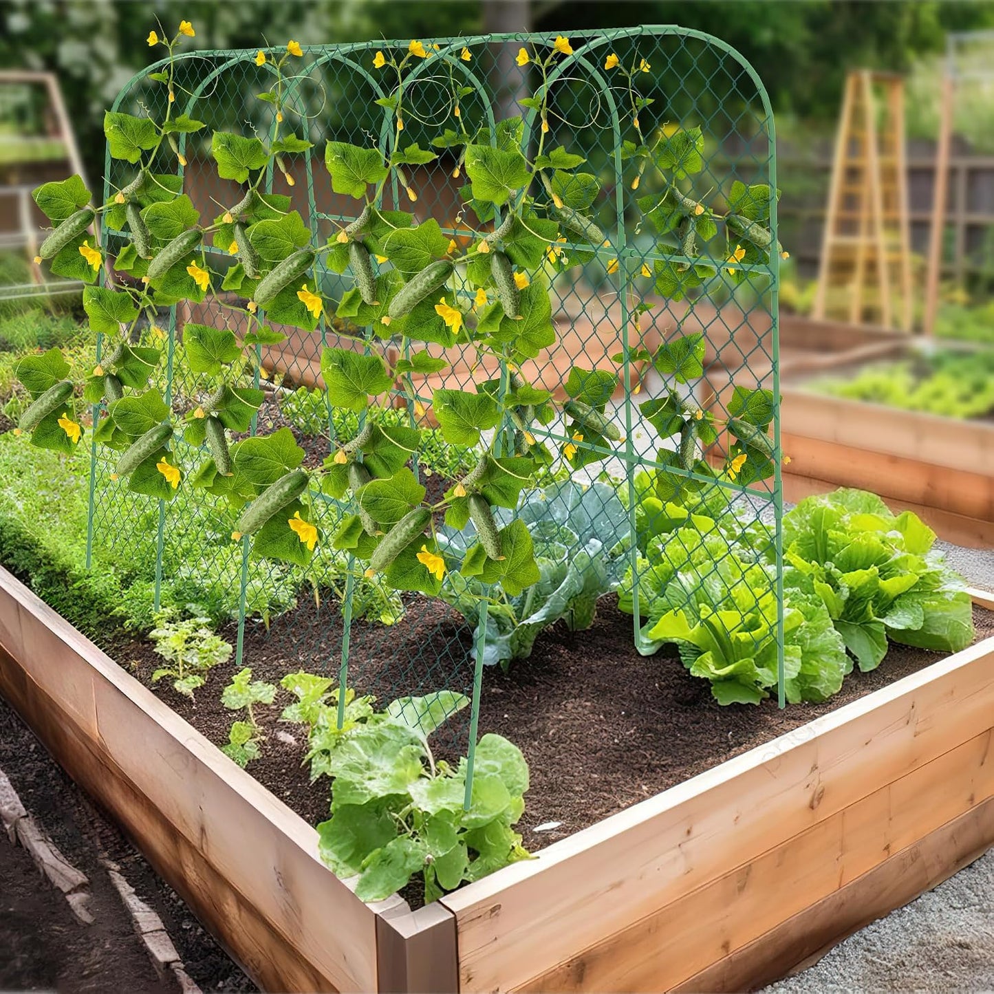 Cucumber Trellis, 50" X 47" U-Shape Garden Trellis for Climbing Plants Outdoor, Arch Trellis Cucumber for Raised Bed, Foldable Plant Support for Vine/Vegetable/Tomato/Zucchini/Pea