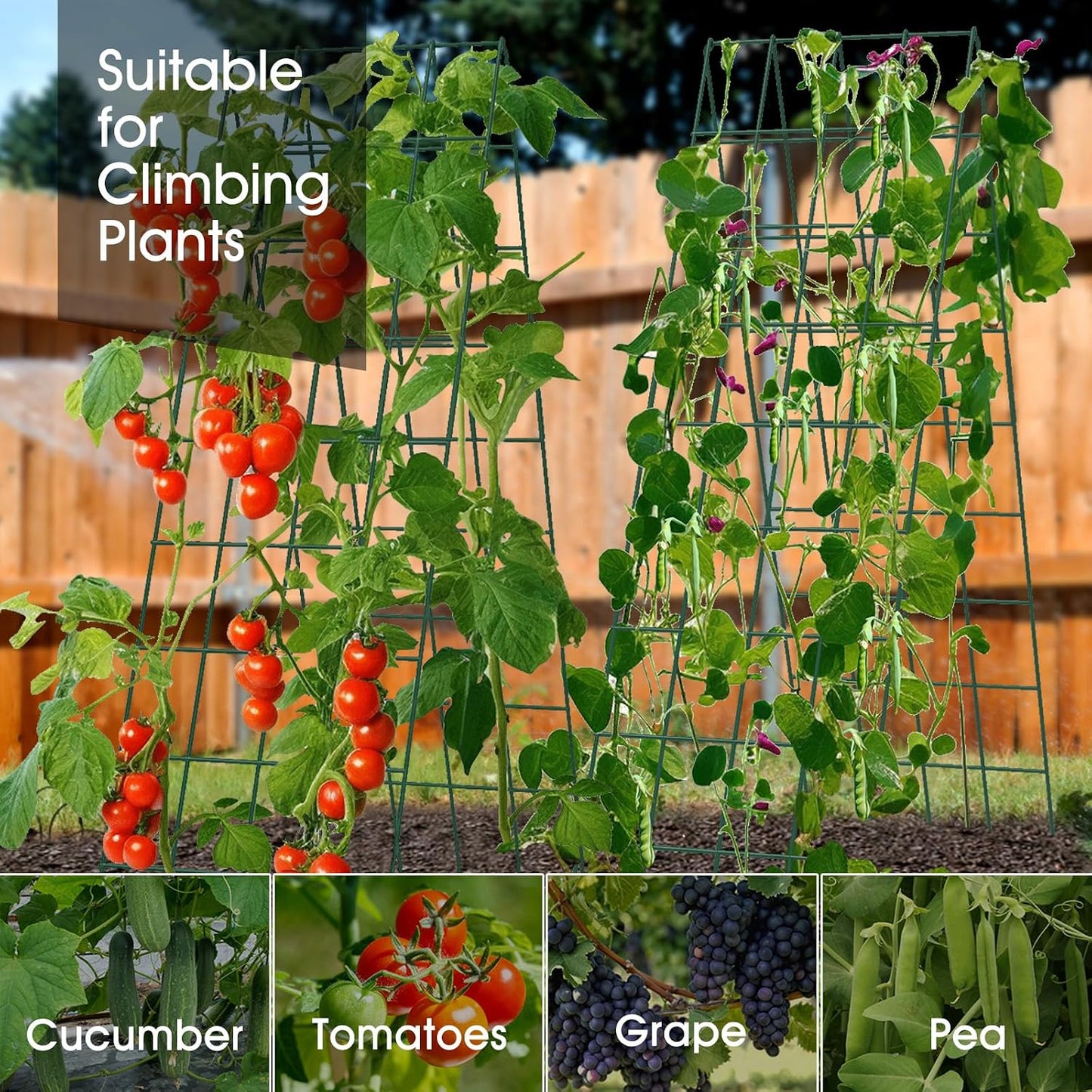 Cucumber Trellis for Raised Bed, Garden Trellis 16.5 x 40 Inch, Green