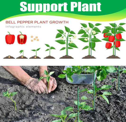 15Set 13.7 Inch Garden Stakes, 48 Pack Tomato Stakes Plastic Coated Metal Plant Sticks DIY 4ft 5ft 6ft 7ft 8ft Stakes Supports for Indoor Outdoor Plants Vegetable