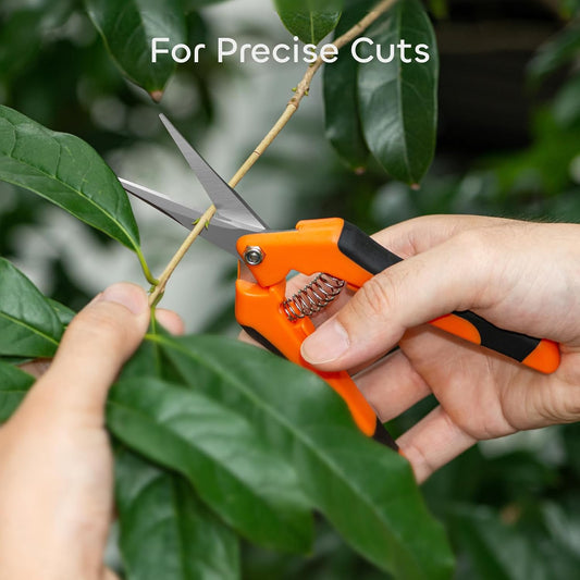 3 Packs 6.5 Inch Pruning Shears Gardening Hand Pruning Snips Gardening Scissors with Straight Stainless Steel Precision Blades