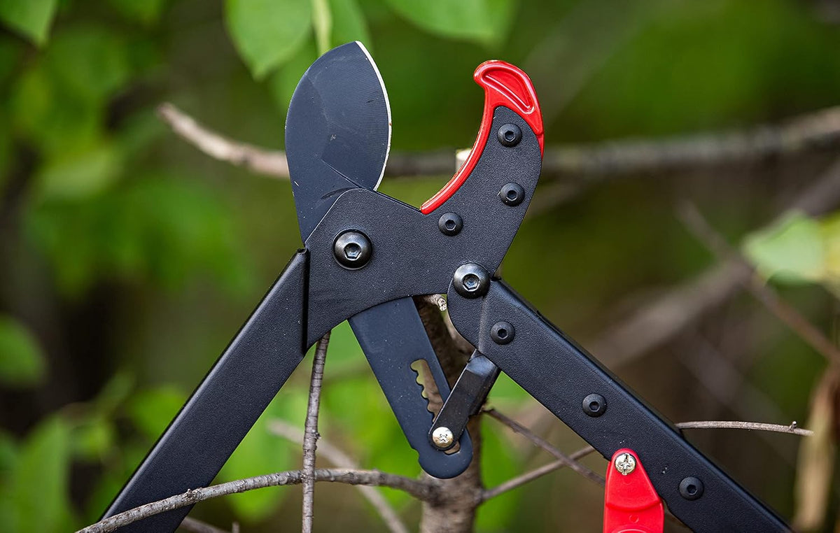 BranchCutter Anvil Loppers. Ratcheting Tree Cutter - Sub Compact Lightweight Packable Loppers best Tree Branch Cutter - Yard Tools Since 1988