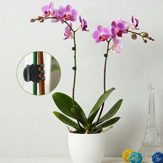 100 Pcs Plant Clips Orchid Plant Clips for Climbing Plants, Plastic Plant Support Clips Green Flower Vine Clips Tomato Trellis Clips for Supporting Vegetables Stems Vines Climbing Plant Grow Upright