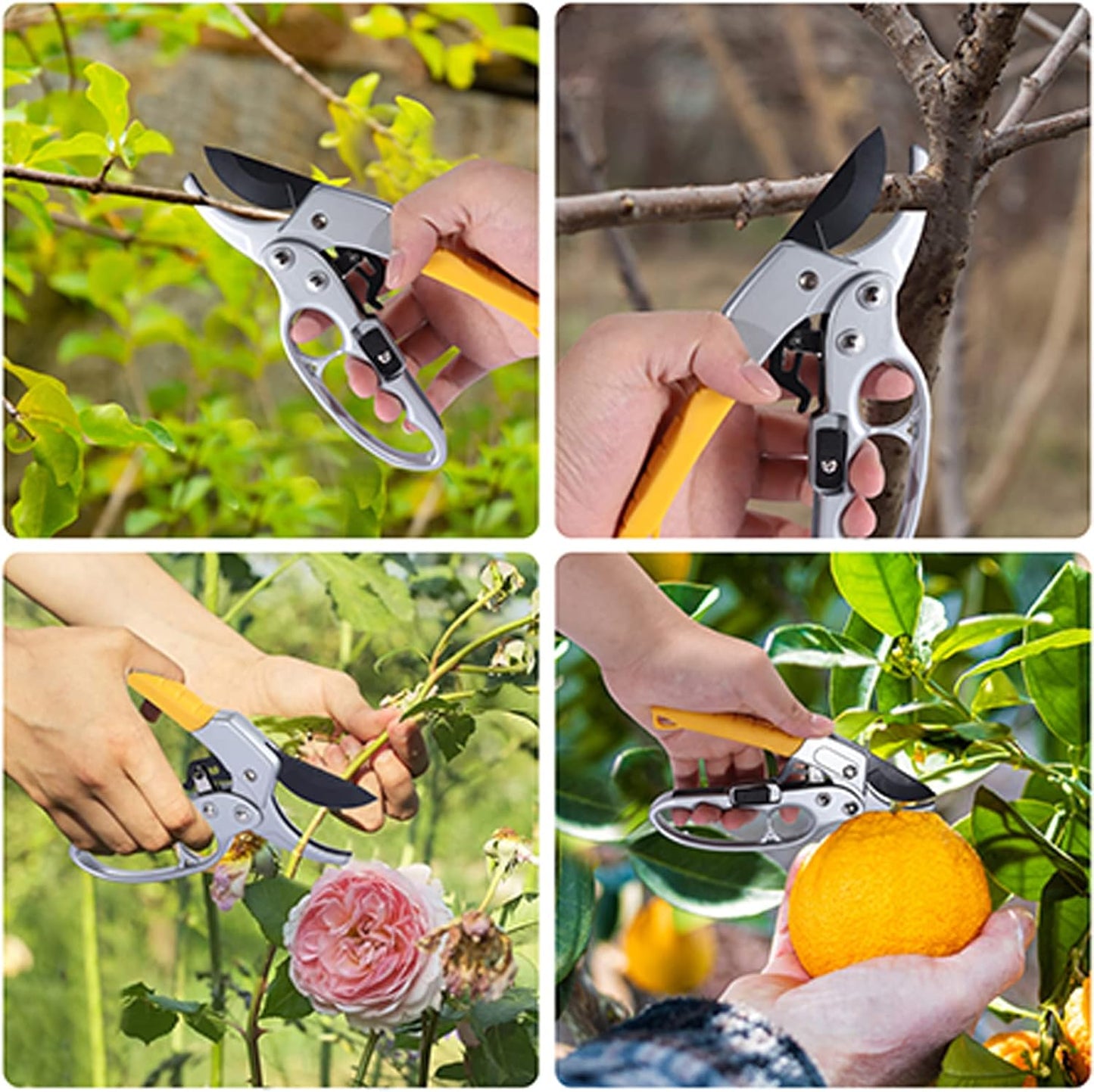 Premium garden shears, pruning scissors gardening tools, pruners for flower, bushes, rose and fruit tree, use for florist, yard and orchard the plant clippers, sharp steel anvil snips