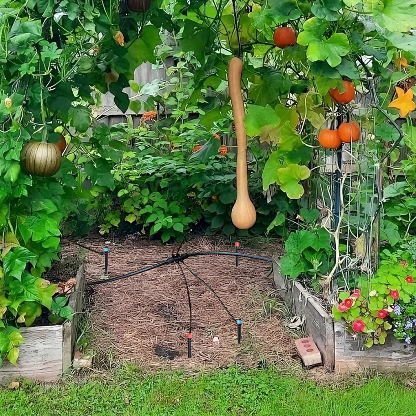 Drip Irrigation System, Automatic Garden Watering Kit, Quick-Connect