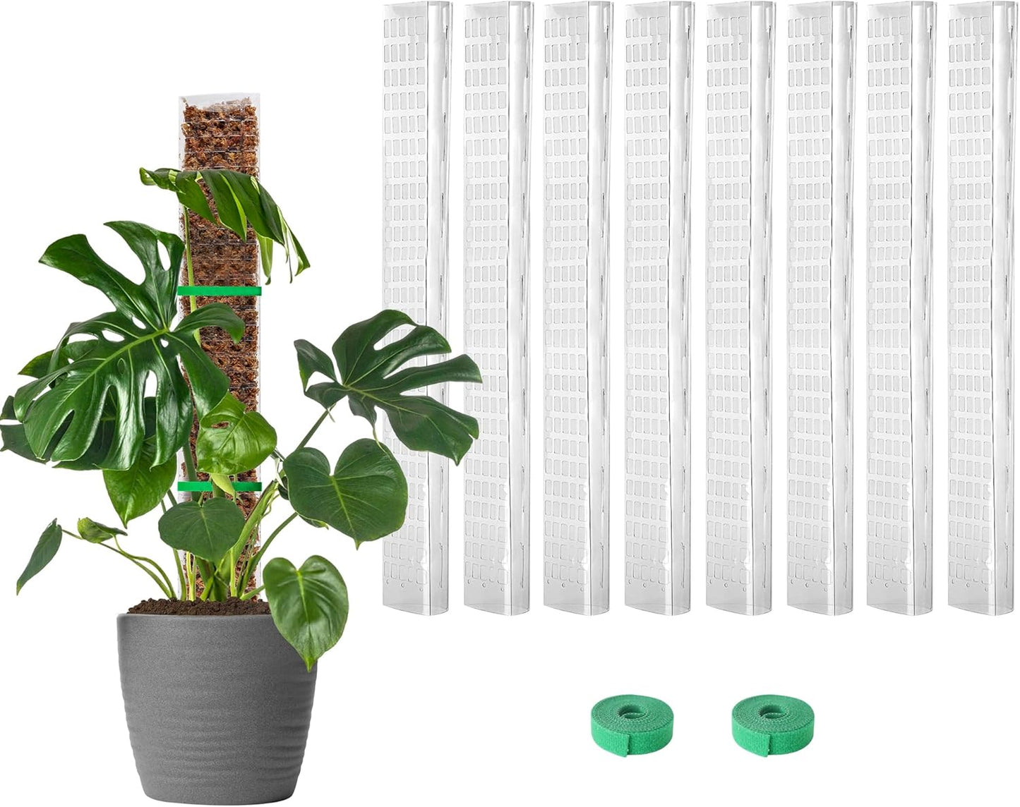 Plastic Moss Pole for Monstera and Climbing Plants, 24-Inch, 4-Pack