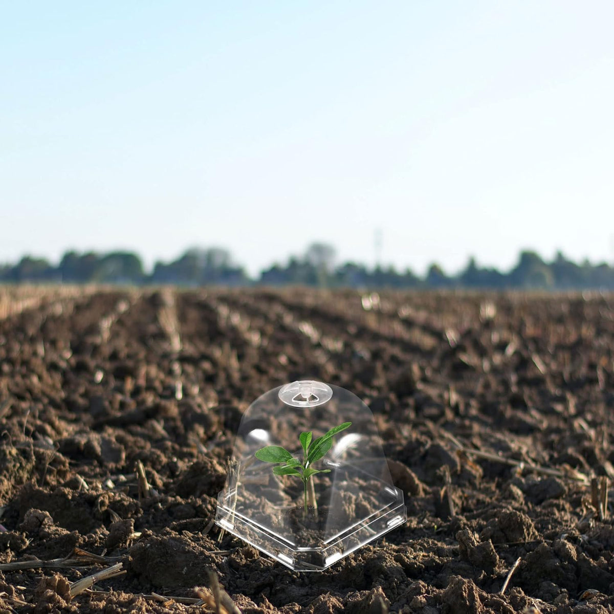 3.9" Plant Humidity Dome, 10Pcs Square Plastic Garden Cloche Dome Plant Cover Reusable for Outdoor Frost Freeze Protection Mini Greenhouse, Clear 10cm x 10cm