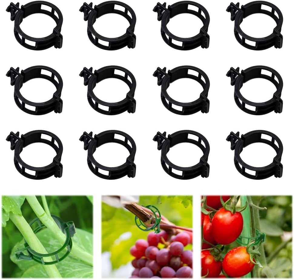 100pcs Plant Support Clips, Plastic Clips for Climbing Plants (100, Green)