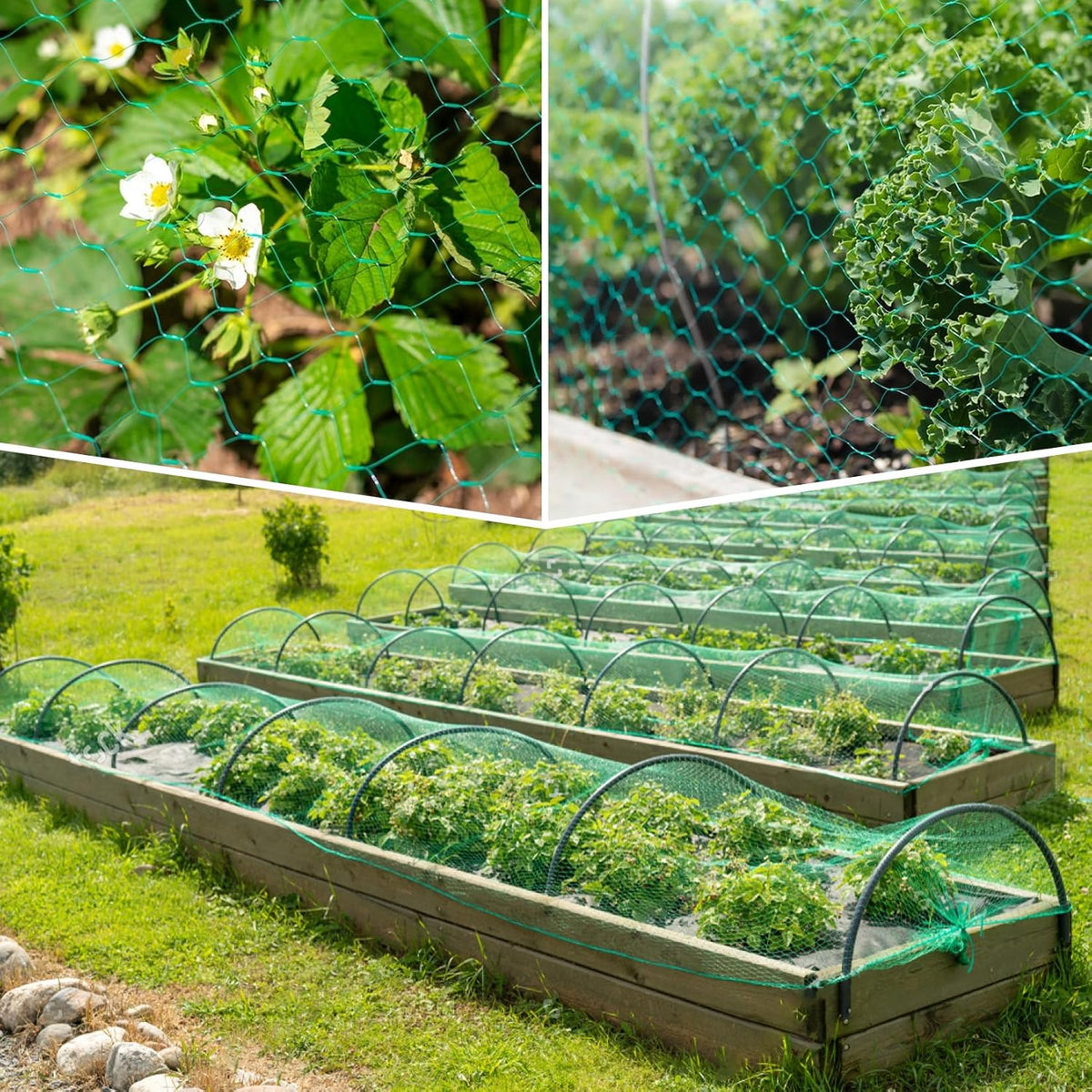 Bird Netting for Garden 13x33ft - Mesh Net for Garden Protection