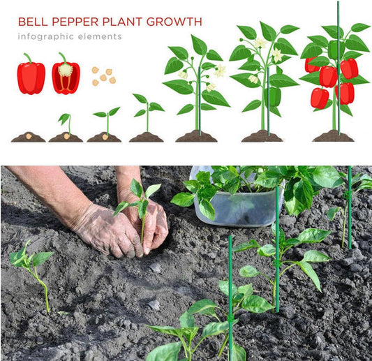 Garden Stakes 30Pack, DIY Tall Plant Support Stakes of 4Ft,5Ft,6Ft,7Ft, Fiberglass Plant Stake for Indoor & Outdoor Plants, Tomato Vegetable Stakes for Garden