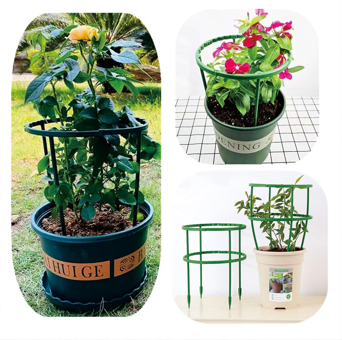 Plastic Plant Support Stakes, Large DIY Plant Support Ring Plant Support Cage, Garden Flower Support for Tomato,Monstera, Peony, Hydrangea, Climbing Plants Indoor Outdoor (Green, 10 Pack)