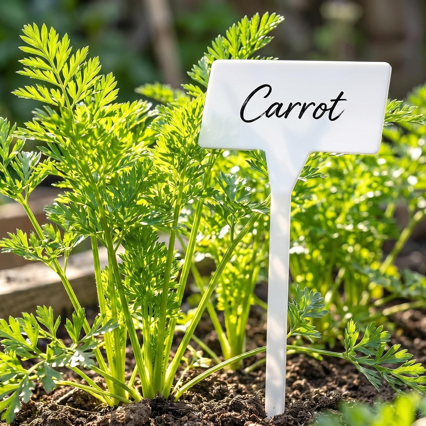 Outdoor Plastic Plant Labels 30 Pack 11.8 inch Outdoor