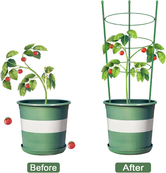 Plant Support Cages for Climbing Plant Upgrade Flower Tomato cage with Stand Stakes and Stable Support Rings, 3 Pack with 12 Clips (36")