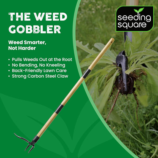 Stand-Up Weed Puller Tool with Long Handle for Dandelions and Garden Weeds.