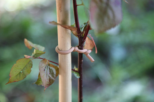 Garden Twist Tie - Soft UV Stabilised, Rust Proof, Soft-Tree Tie - 26.3' - Rubber Compound/Galvanized Steel
