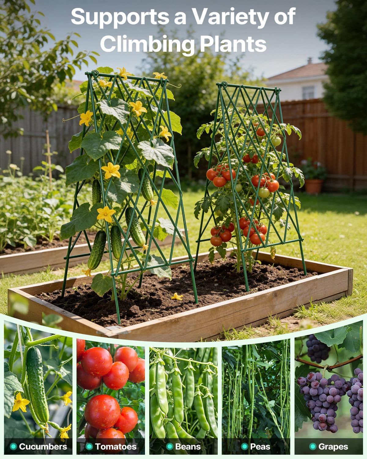 A-Frame Cucumber Trellis 59.4" 2 Pack, Foldable Metal