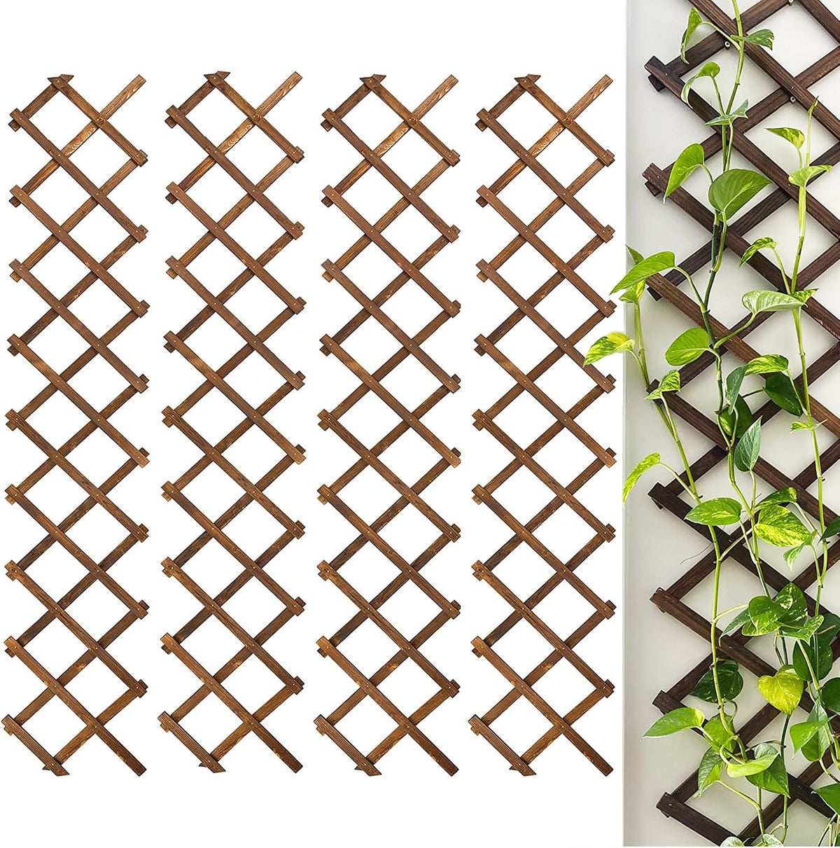 2Pack Expandable Wooden Lattice Wall,Plant Garden Trellis for Climbing Plants Outdoor, Plant Vertical Rack Wall Decor Indoor