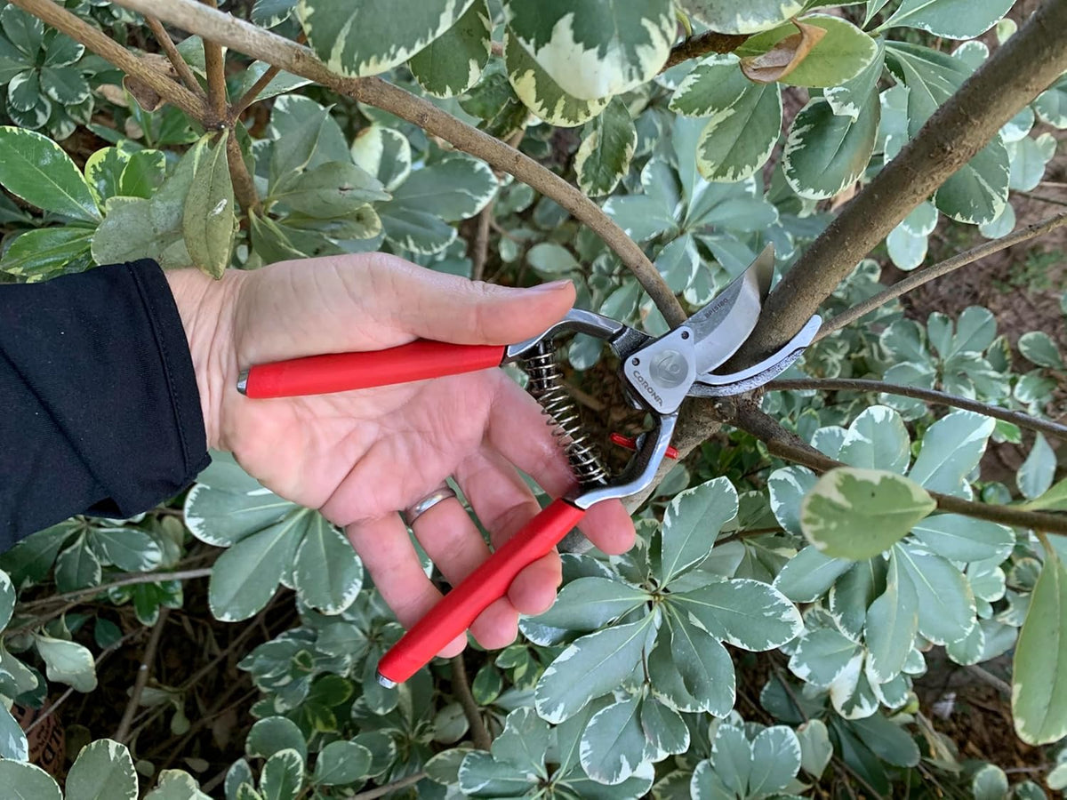 Forged Steel ClassicCUT Bypass Hand Pruner – 1-Inch Cut Capacity Garden Pruning Shears for Stems & Branches, Heavy-Duty Bypass Pruners for Tree, Shrub & Plant Trimming