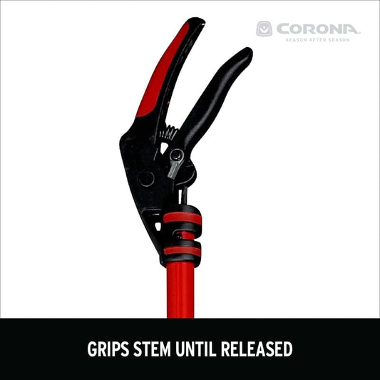 7015575, 46-Inch, Red
