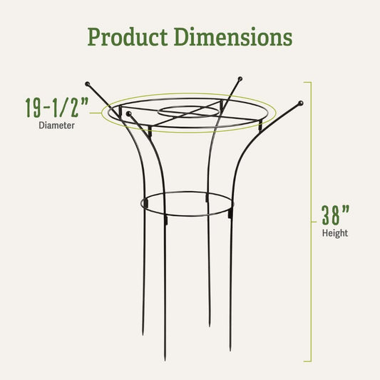 Essex Plant Support Frame for Peonies, Rose, Ornamental Flower Garden Cage - Wide Top Rings Natural Bouquet Shape - 38" H x 23" D