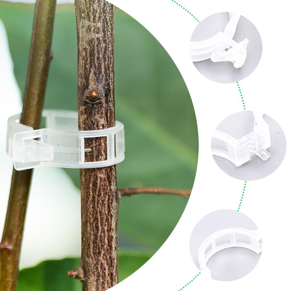 Plant Clips for Climbing Plants, Tomato Clips for Climbing Plants - Reusable Plastic Trellis Clips for Outdoor Vine Support, Grape Tomato Vegetables (100pcs, Black)
