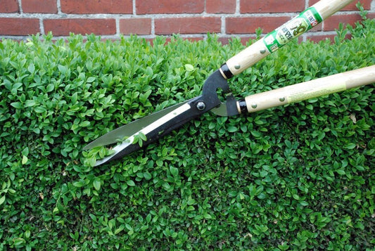 230 Cutting Shears, Type 65, 7740ai