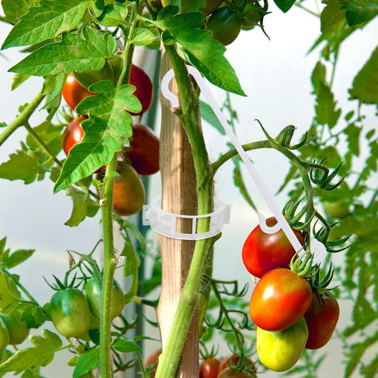 250 Pcs Tomato Clips and Hooks, Plant Support Clips for Tomatoes Grape Grow