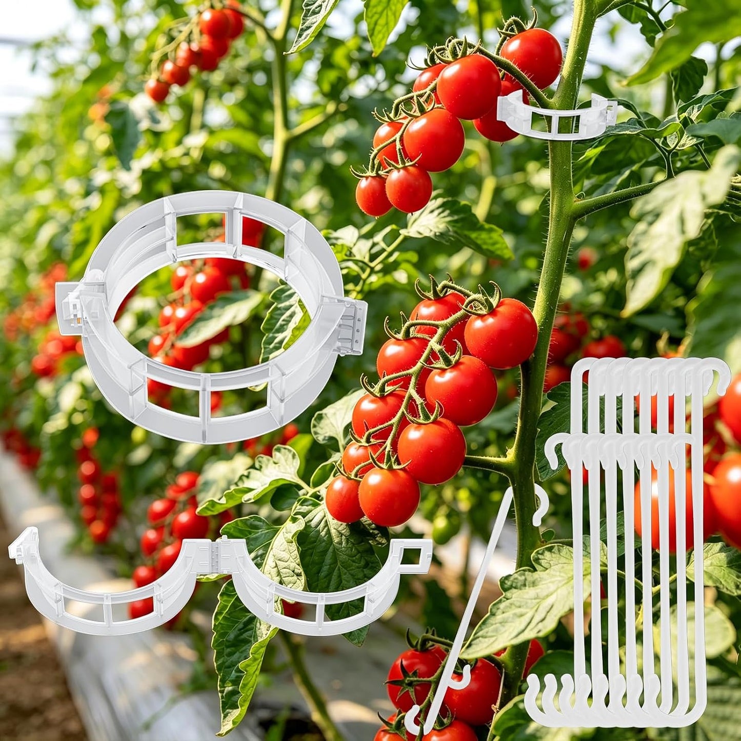250 Pcs Tomato Clips and Hooks, Plant Support Clips for Tomatoes Grape Grow