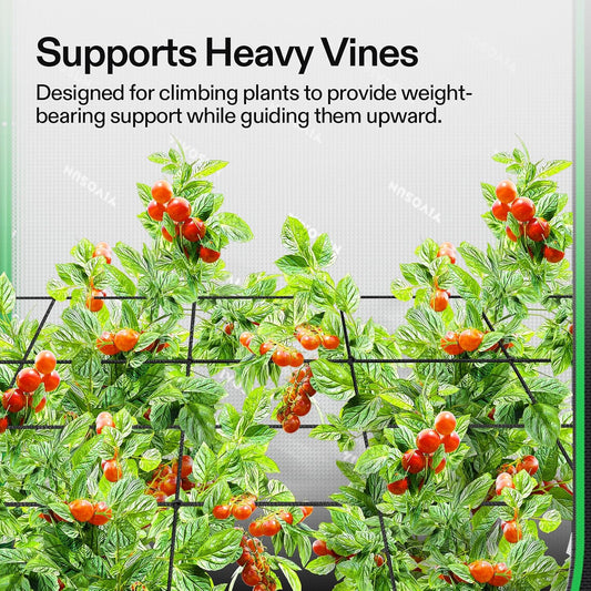 5 x 5Ft. Elastic Trellis Netting with 4 Hooks for Climbing Plants, Vegetables, Fruits, and Flowers, 1-Pack