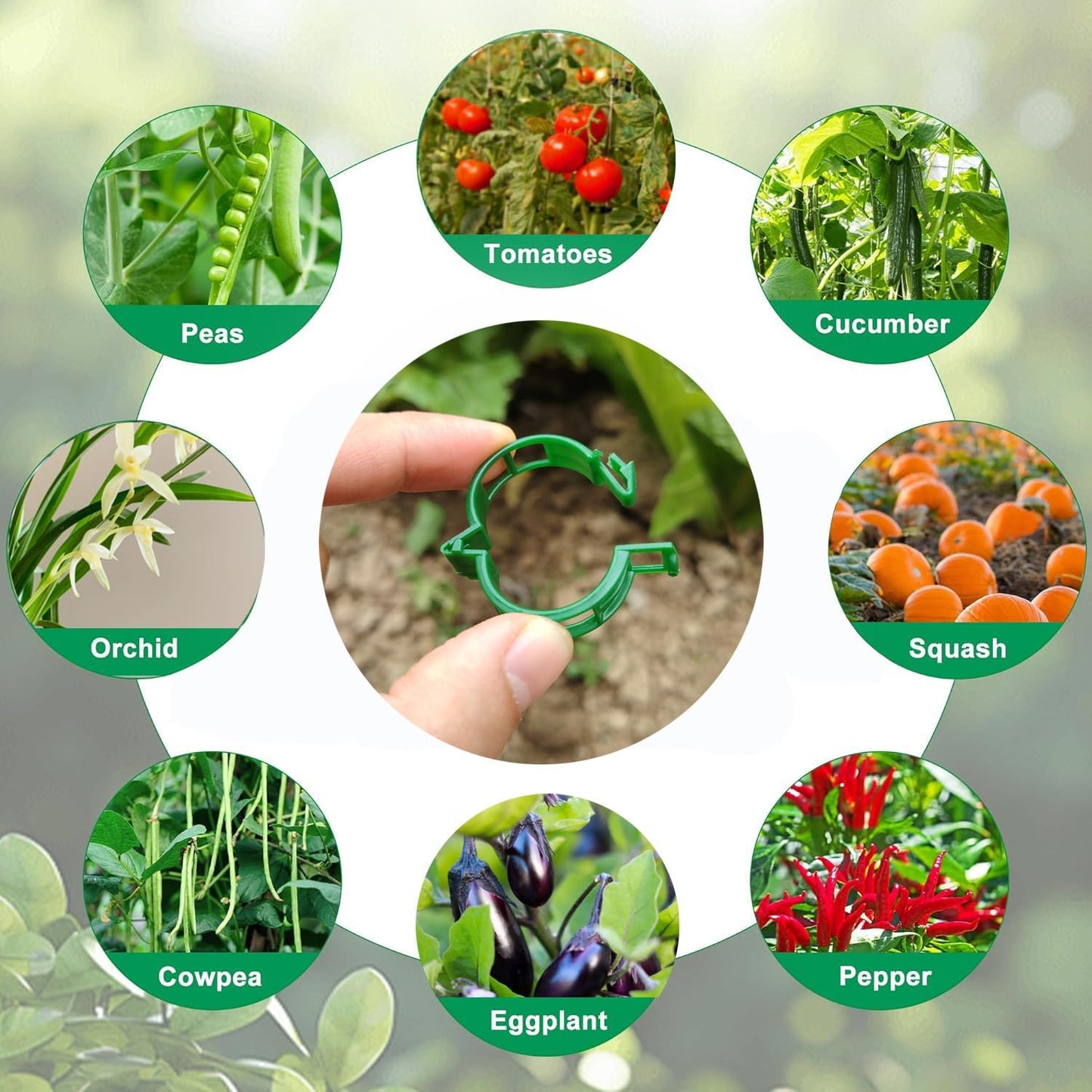 Plant Support Clips - Tomato Clips for String Trellis, 50pcs Grape Vine Clips for Fixing Stem and Vinefor Garden Netting Climbing Plants, Secured Plastic Plant Clip (50, Green) (50)