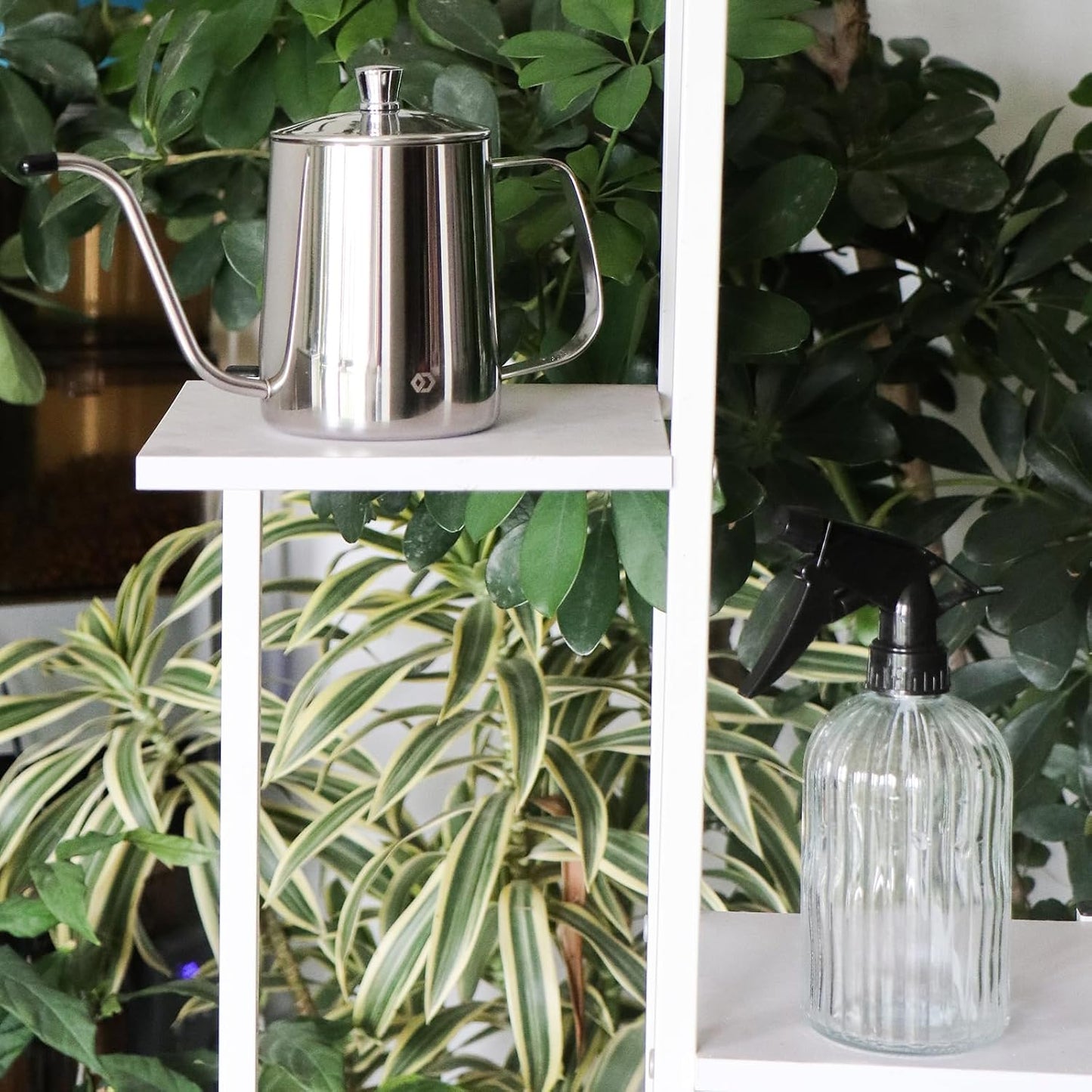 Watering Can for Indoor Plants Long Spout Metal Stainless Steel 21 oz Small Watering Can with 14 oz Glass Plant Mister Spray Bottle for Plants Bonsai