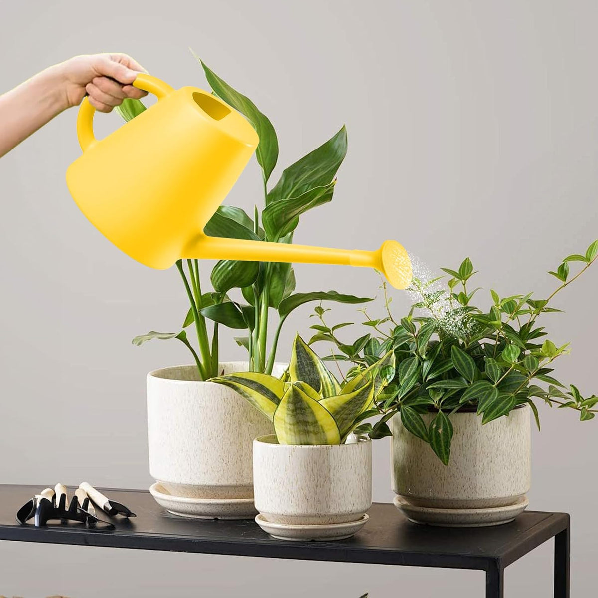 Indoor and Outdoor Watering Can - Long Spout -1/2 Gallon (64oz) - Black