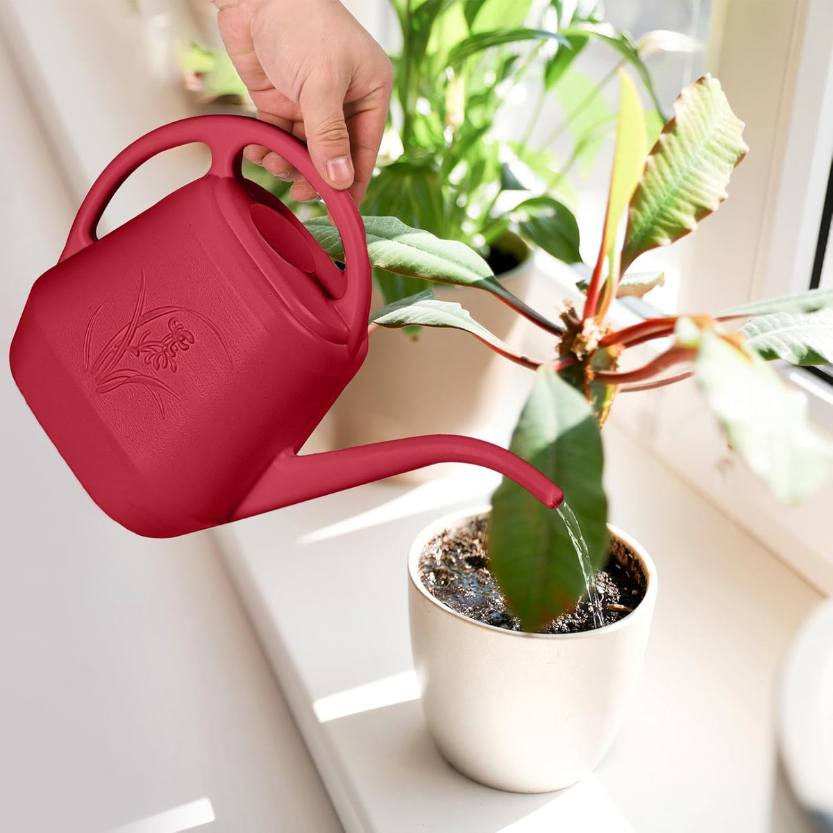 Watering Can - for Home Plant Garden - 1/2 Gallon - Rose Red
