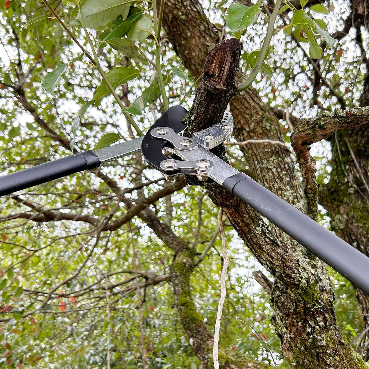 Loppers for Tree Trimming Heavy Duty Branch Cutter, 1.6" Cut Capacity