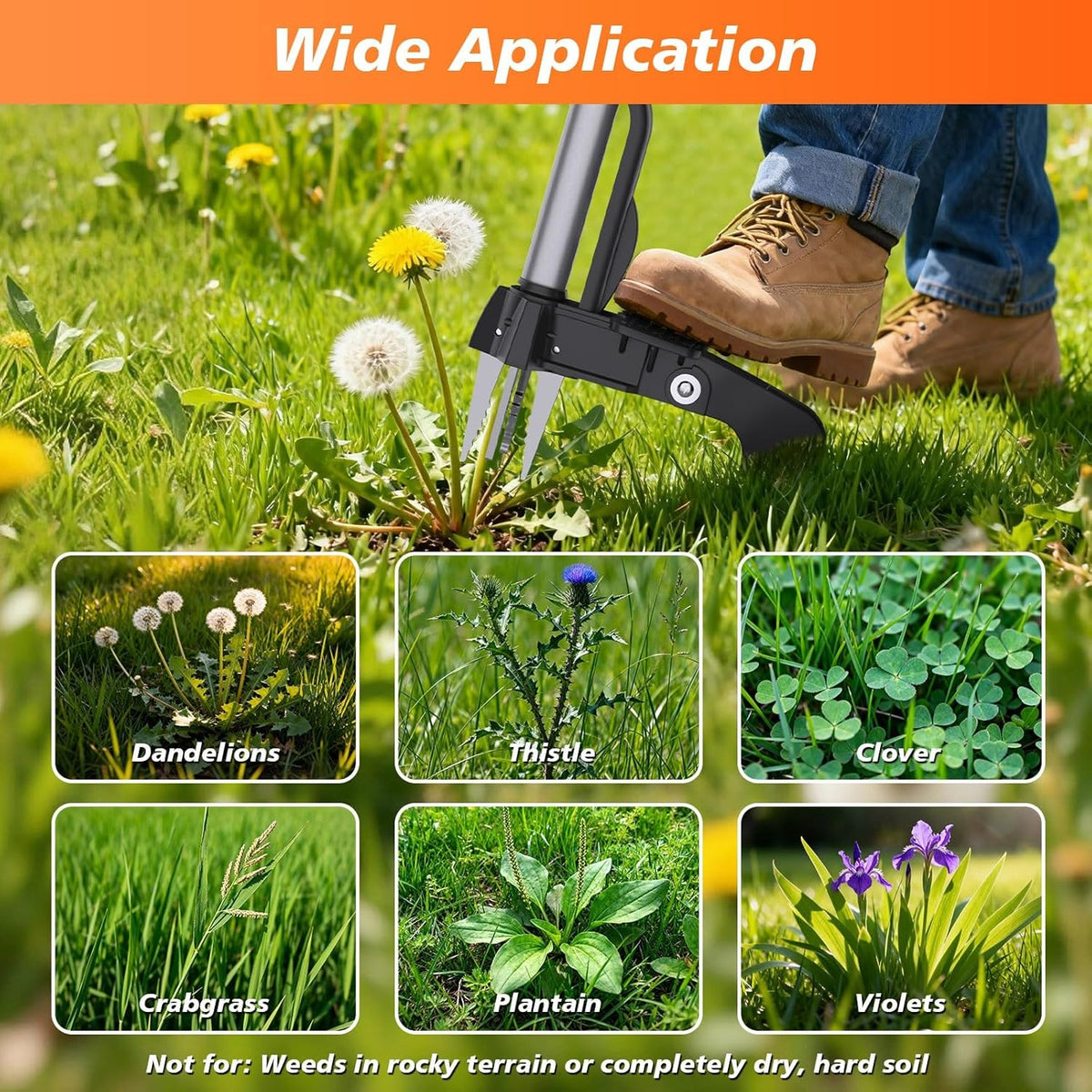 Stand Up Weed Puller Tool - 4-Claw Steel Head Hand Weeding Tool - 40" Retractable Handle with Easy-Eject Mechanism for Dandelions, Clover, No Bending or Kneeling