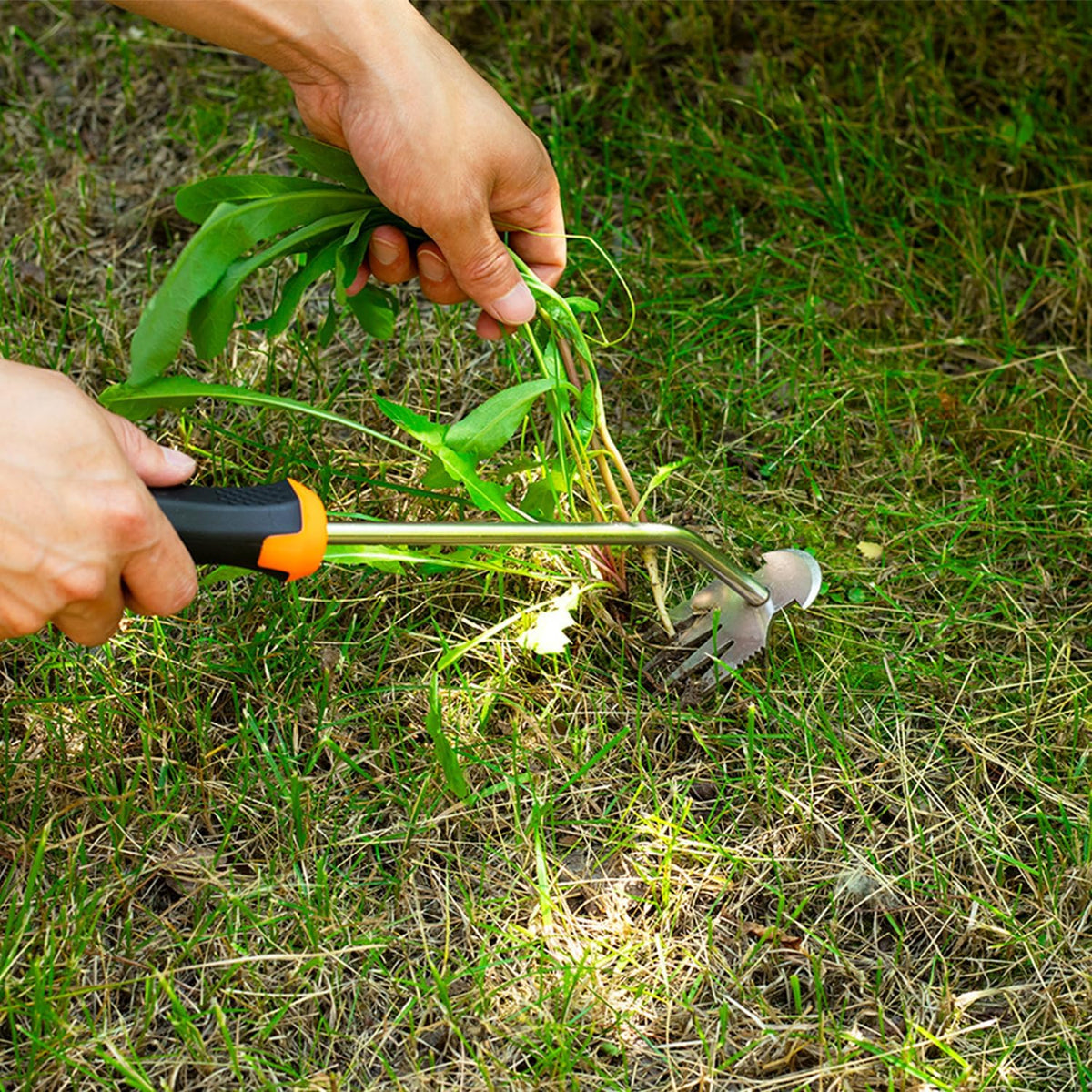 Uprooting Weeding Tool - Hand Held Weeder Puller Tool, Rubber Handle, 4 Teeth Weed Remover for Garden Farm Weeding