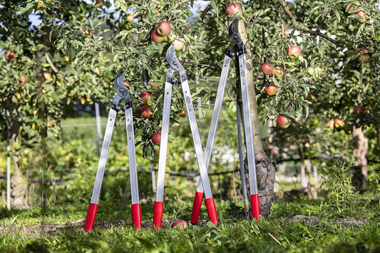 F221-80 Swiss Made Loppers for Gardening – 32" Lightweight Precision Loppers for Tree Trimming | Tree Branch Cutters | Tree Trimmer Tool with Curved Bypass Blade | I-Beam Handles | Orchard Reach