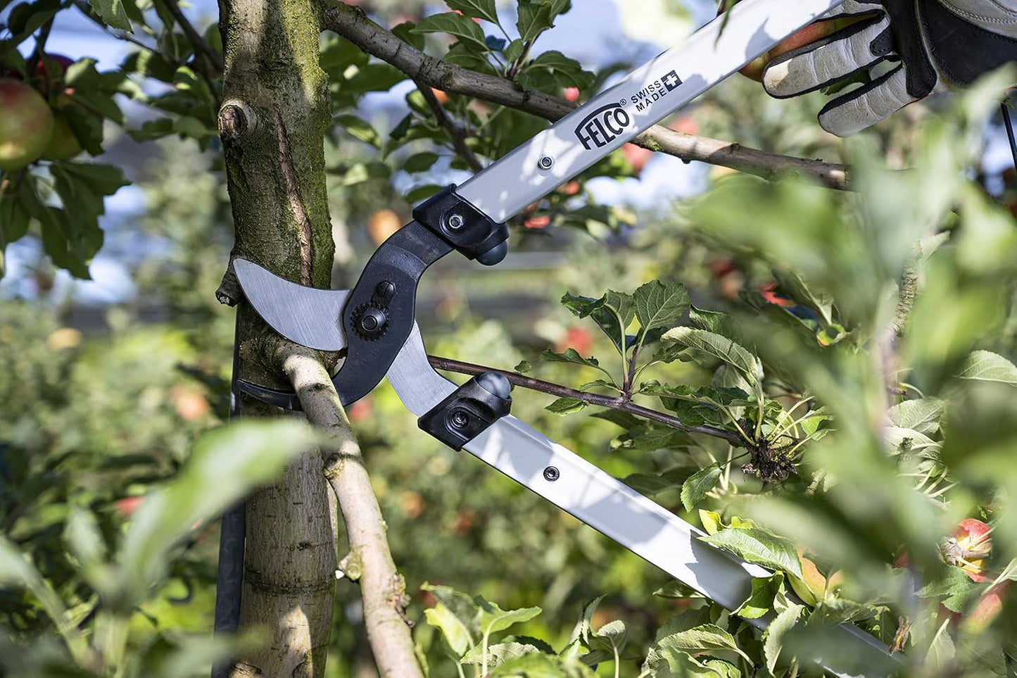 F221-80 Swiss Made Loppers for Gardening – 32" Lightweight Precision Loppers for Tree Trimming | Tree Branch Cutters | Tree Trimmer Tool with Curved Bypass Blade | I-Beam Handles | Orchard Reach