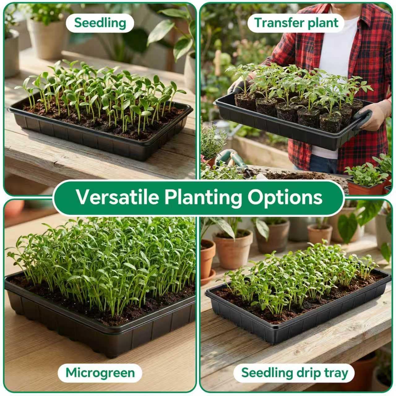 10 Plant Growing Trays,Plant Tray, Seed Tray, Seedling Tray, Propagation Tray, Plant Trays for Seedlings, Planting Trays, Seedling Starter Tray(No Drain Holes)