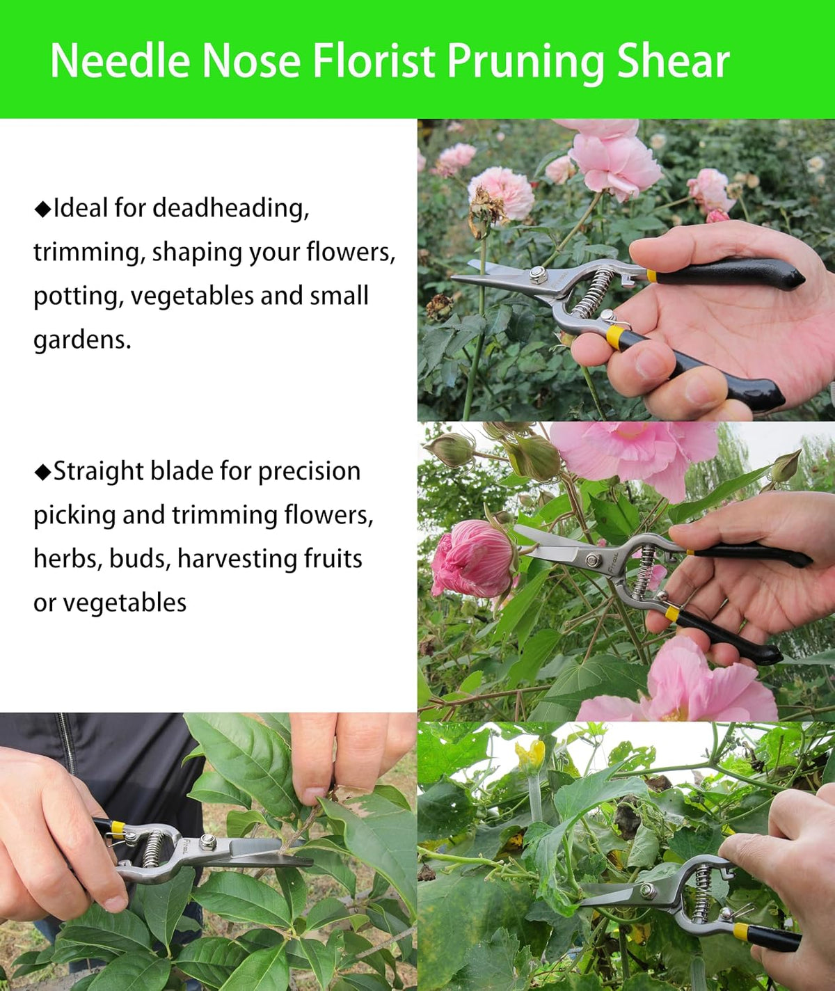 Forged Bypass Hand Clippers Pruner, With 5/8 Inch Cutting Capacity, Ergonomic handle with Soft Grip, Pruning Shear 8-Inch (Bypass)