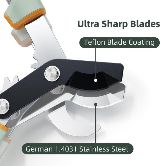 ® Loppers for Tree Trimming Stainless Steel Branch Cutter Heavy Duty Bypass Tree Pruner Rust Resistant Sharp Blade Up to 2" Tree Limb Trimmer for Gardening