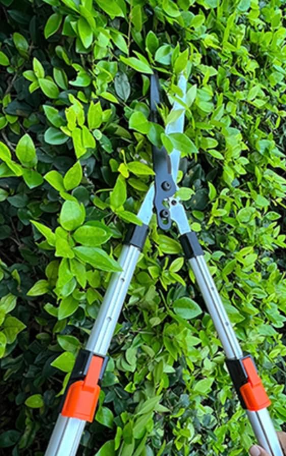 Pro Gear Lever Hedge Shears - 29” - 34” - Telescoping Extendable Handle with High Carbon Steel Teflon Coated Wavy Blade - Ergo Rubber Long Handle - Heavy Duty Gardening Tool