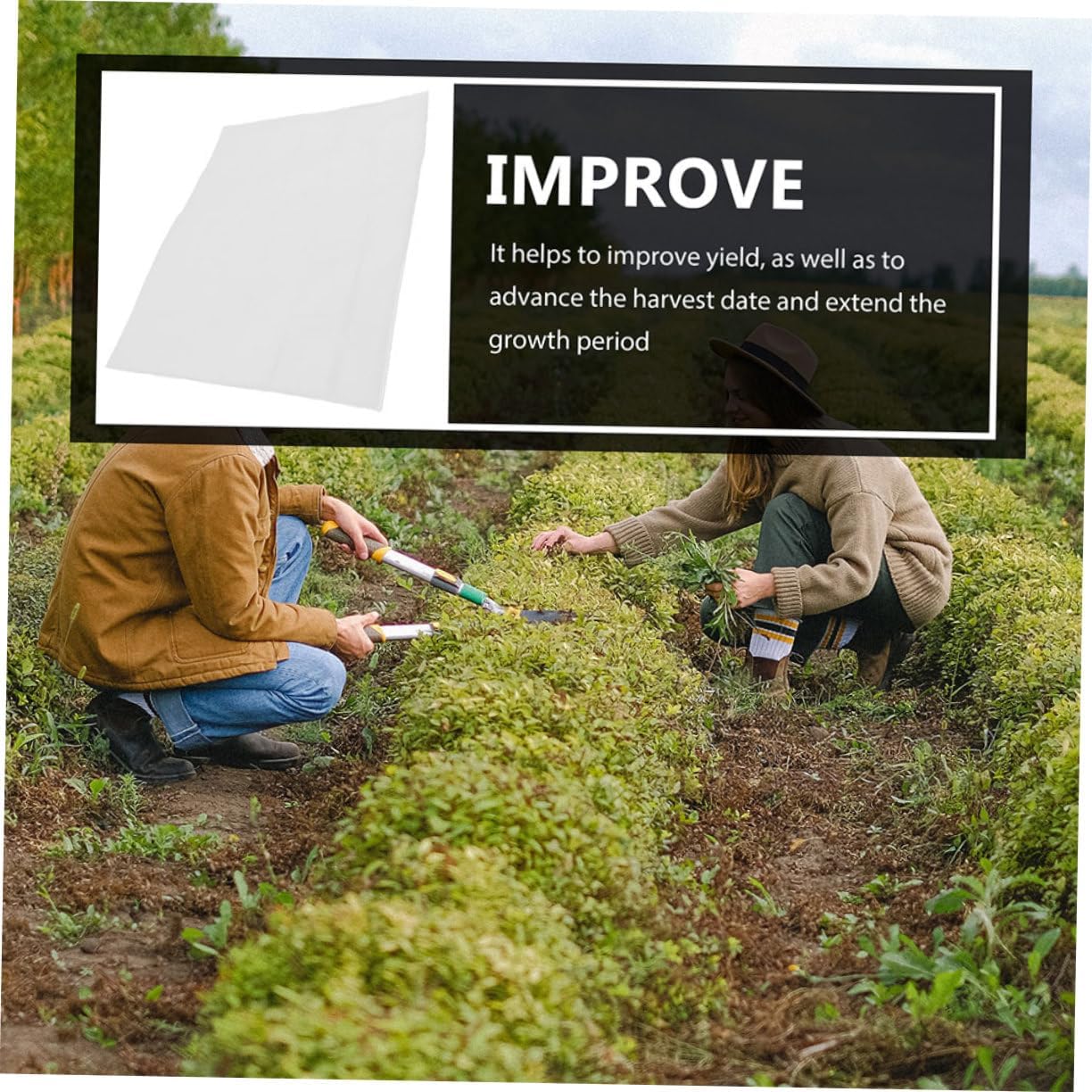 Non-Woven Plant Frost Protection Winter Shrub Covers Reusable Floating Row Warm Fabric Plant Protector for Frost-proofing