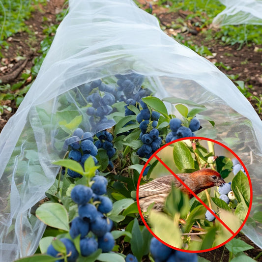 Garden Netting 10 X 50 FT Ultra Fine Netting for Garden Protection,Garden Netting for Raised Beds,Mosquito Net for Blueberry Shrubs Vegetables Fruits Flowers Crops Pest Barrier