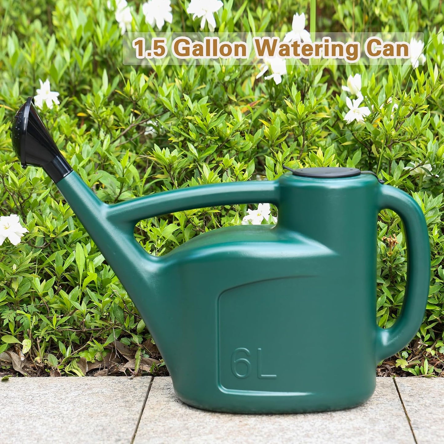 Small Watering Can for Indoor Plants, 0.8 Gallon Plastic Plant Watering Can with Long Spout, Lid and Detachable Sprinkler Head, 3L Lightweight Watering Pot for House Plants and Garden Flower