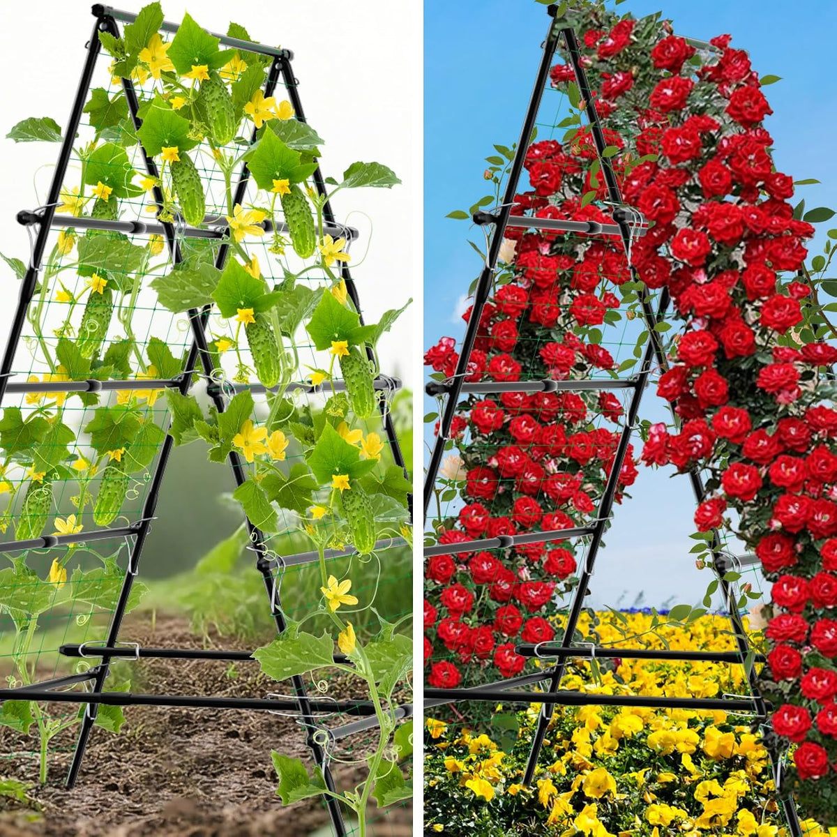 whiffee 7.3FT Cucumber Trellis for Raised Bed, Garden Arch Trellis with Net