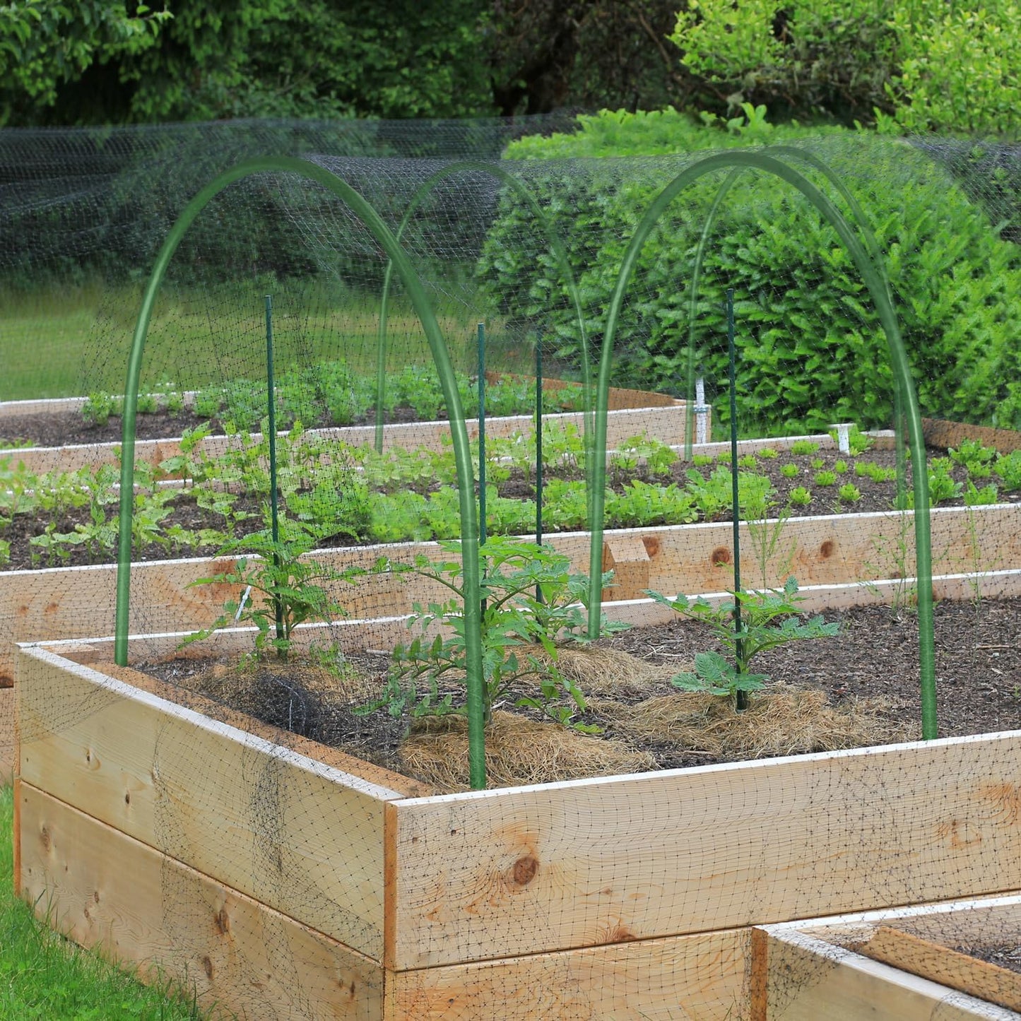 6Pcs Garden Hoops, 19.7"x23.6" Greenhouse Hoops Rust-Free Grow Tunnel, Garden Stake with Plastic Coated Plant Supports for Raised Beds Row Cover Garden Fabric