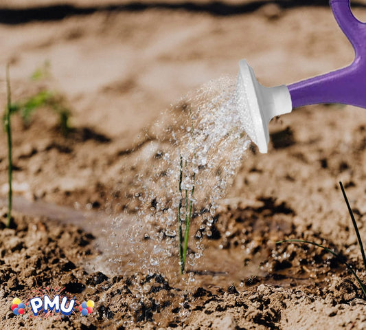 Replacement Sprinkler Head Spray Spout for Brands 2 Gallon Watering Cans, NOT Intended to be a Universal Watering Can Replacement Spout (1/Pkg) Pkg/1