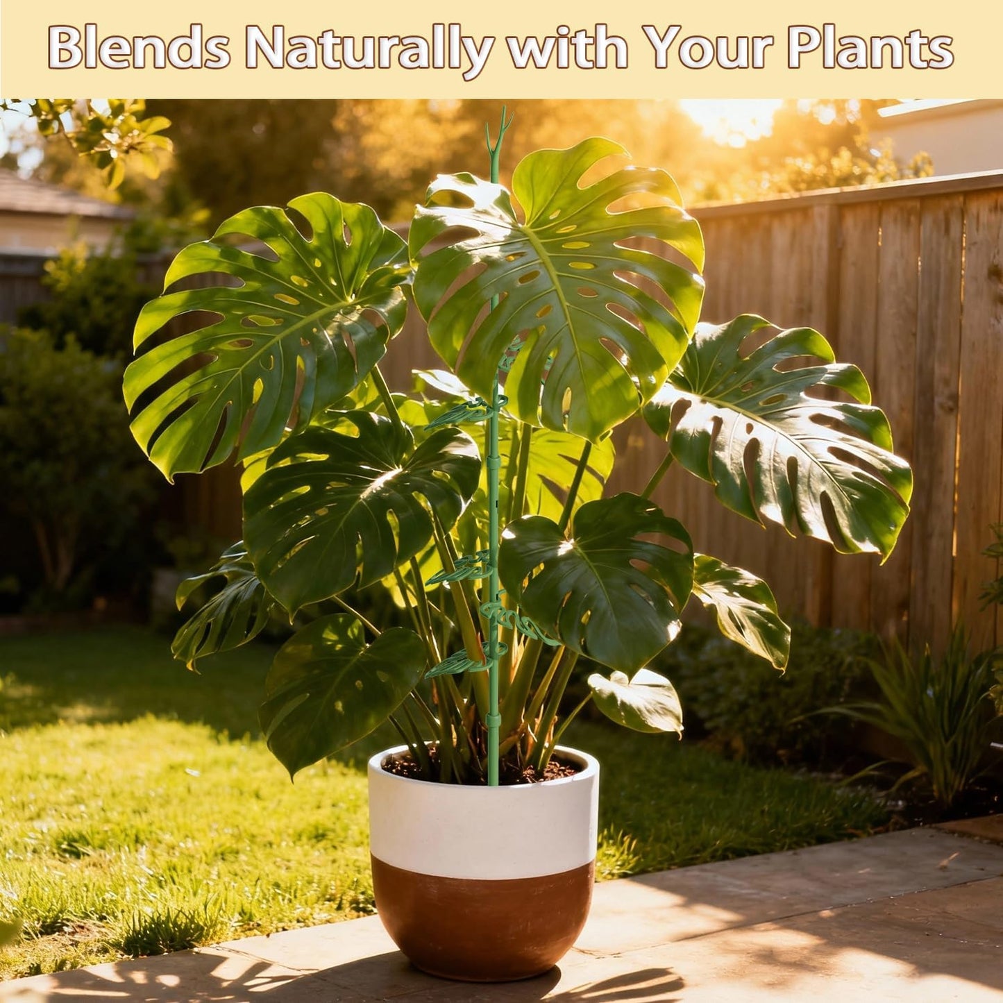 Telescoping Monstera Plant Support Stakes, Adjustable Climbing Plant Stakes