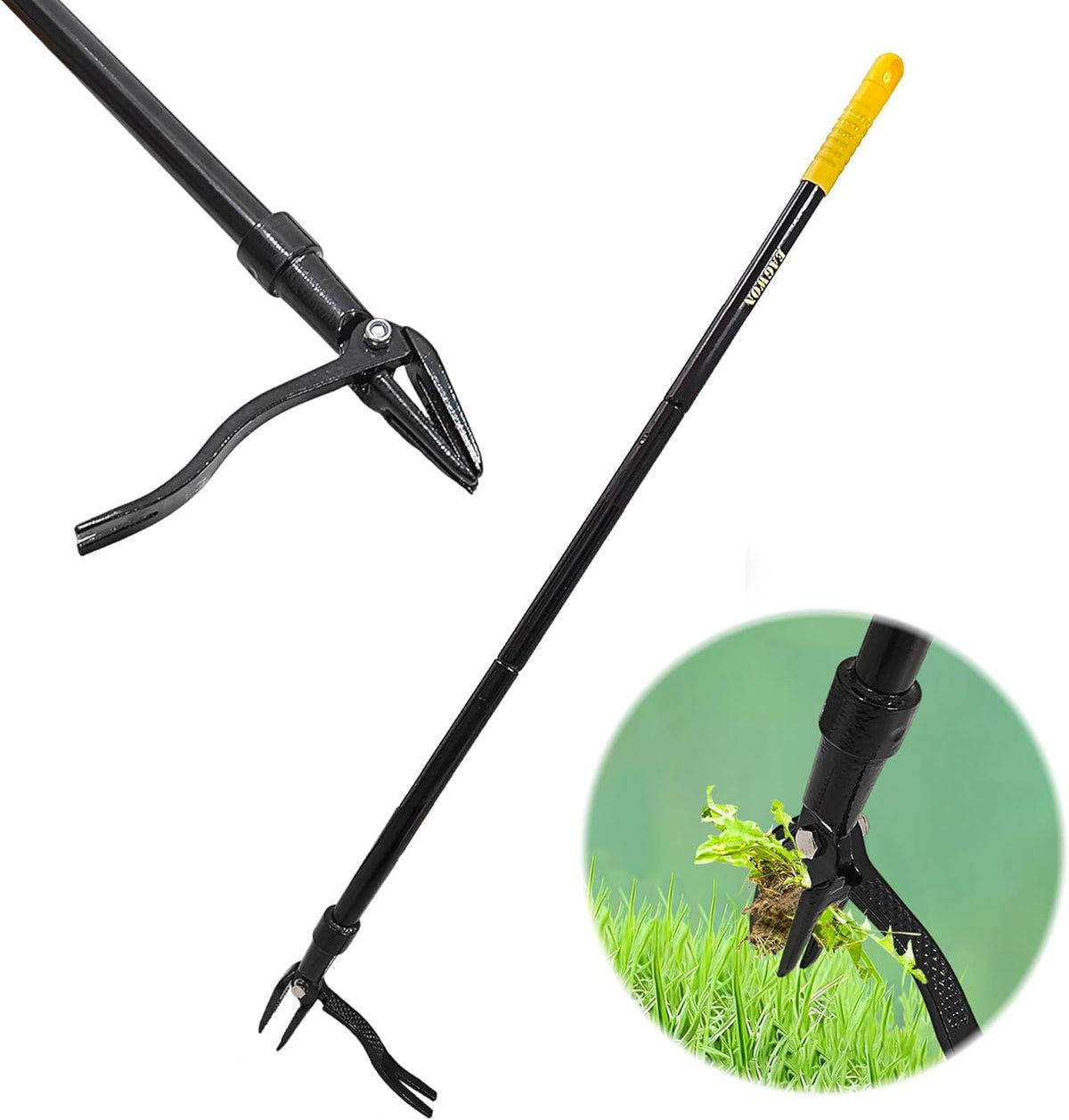 55-Inch Stand Up Weed Puller Tool, 4-Claw Steel Head Design, Long Handle for Dandelions and Crabgrass